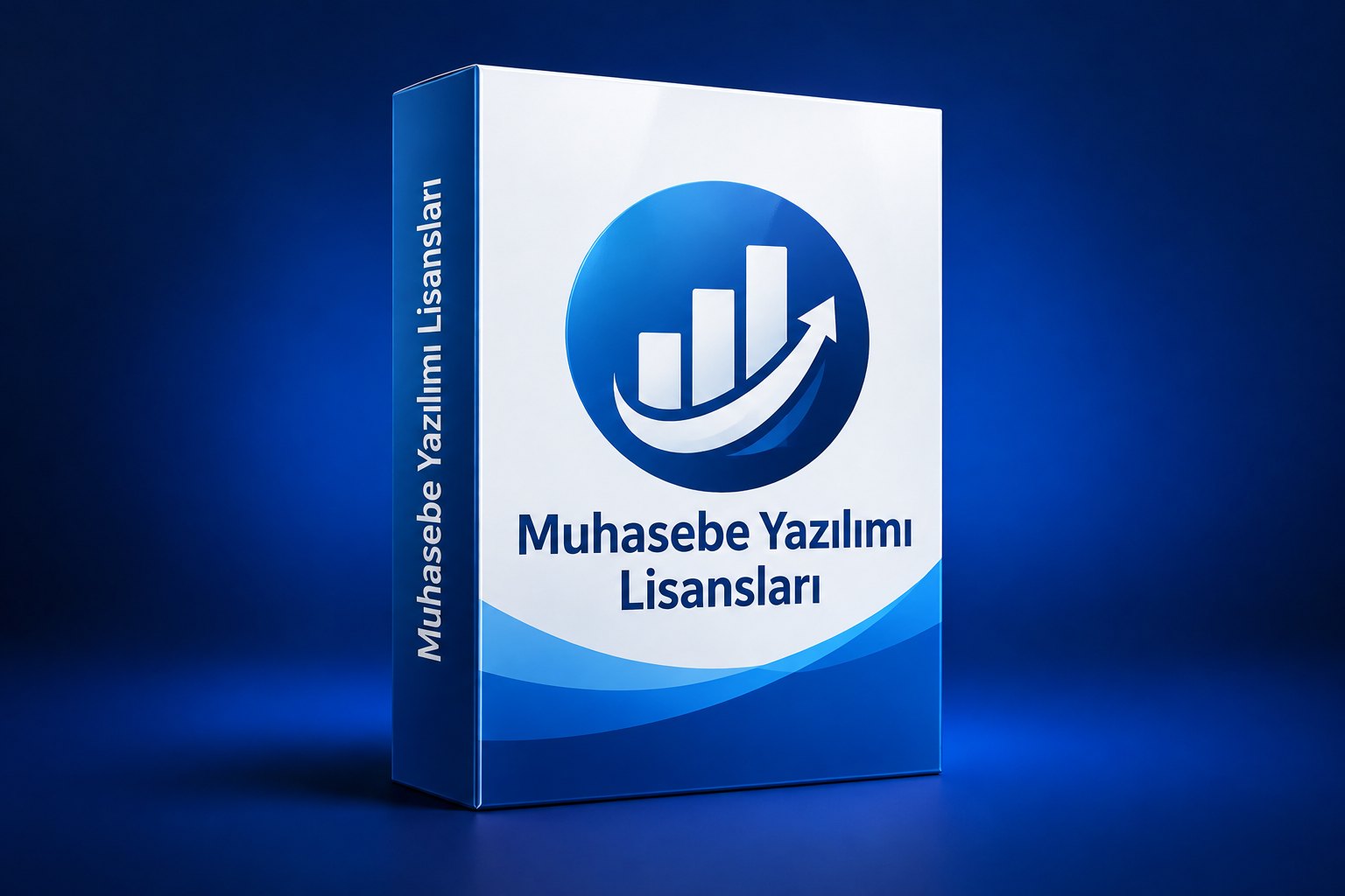 Muhasebe Yazılımı Lisansları